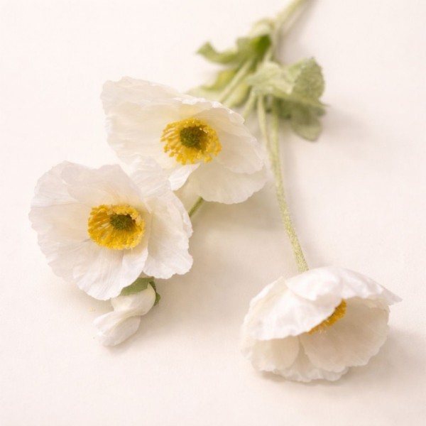 Gelincik Dal  60-65 cm